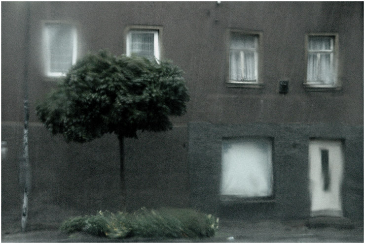 stand stundenlang vor deinem fenster / als das licht ausging war alles vorbei