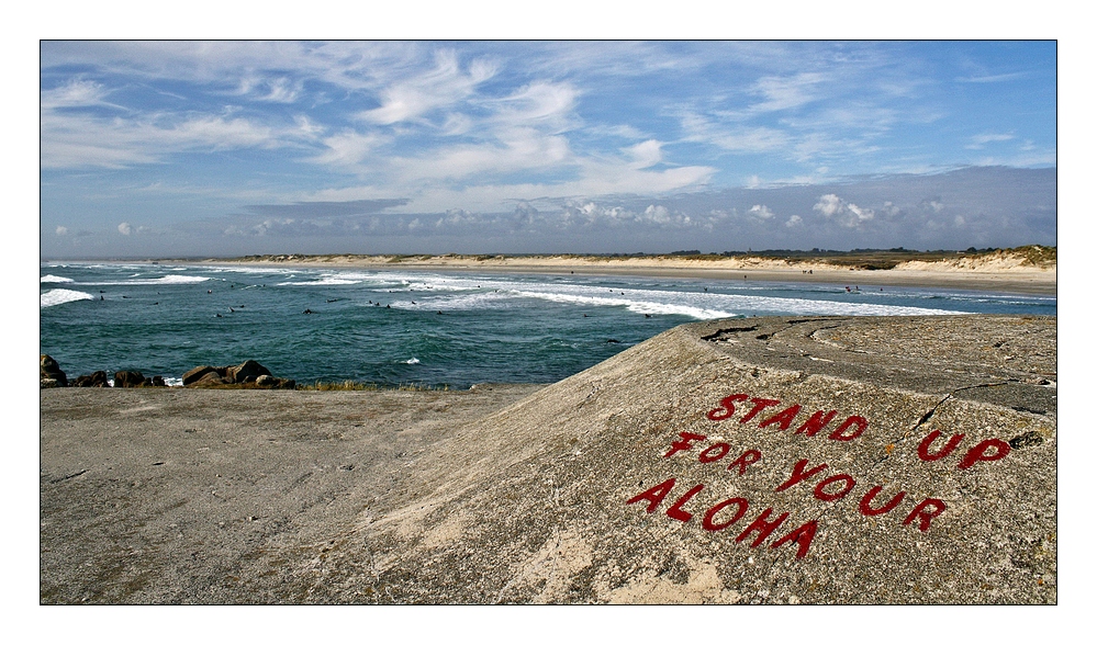 Stand up for your Aloha !