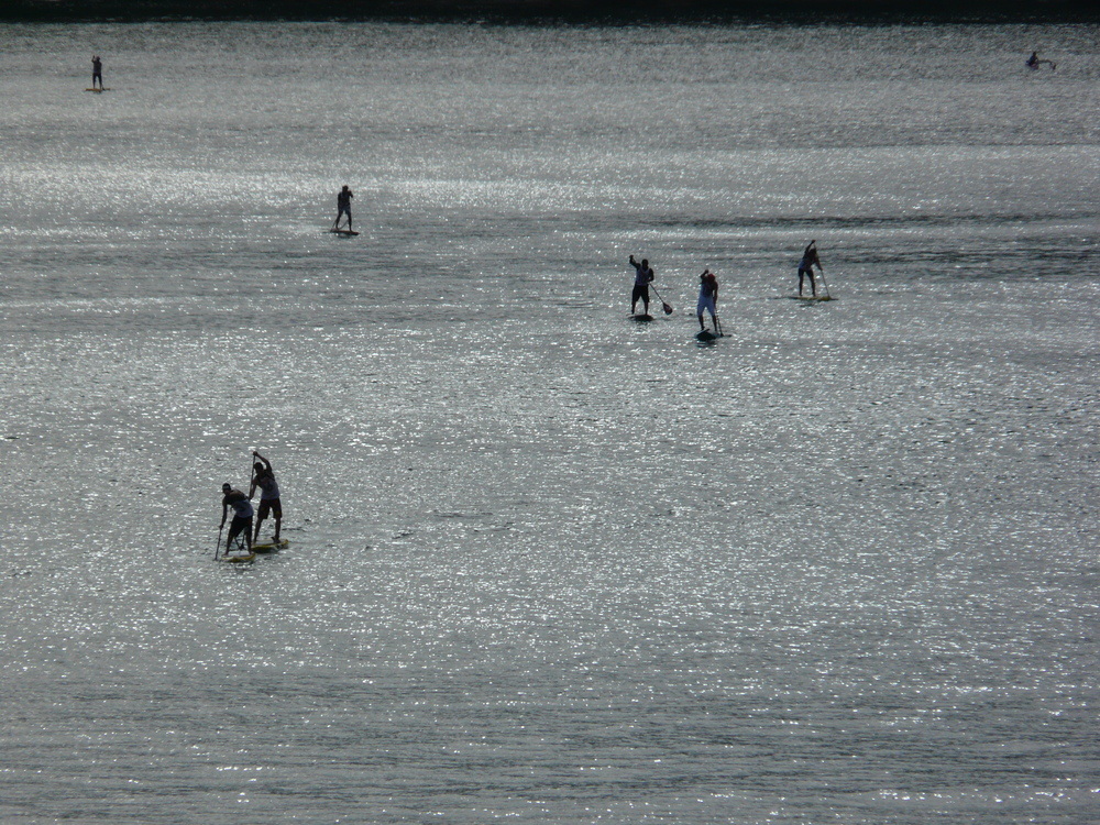 Stand Up Paddle en Baie de DOUARNENEZ