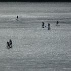 Stand Up Paddle en Baie de DOUARNENEZ