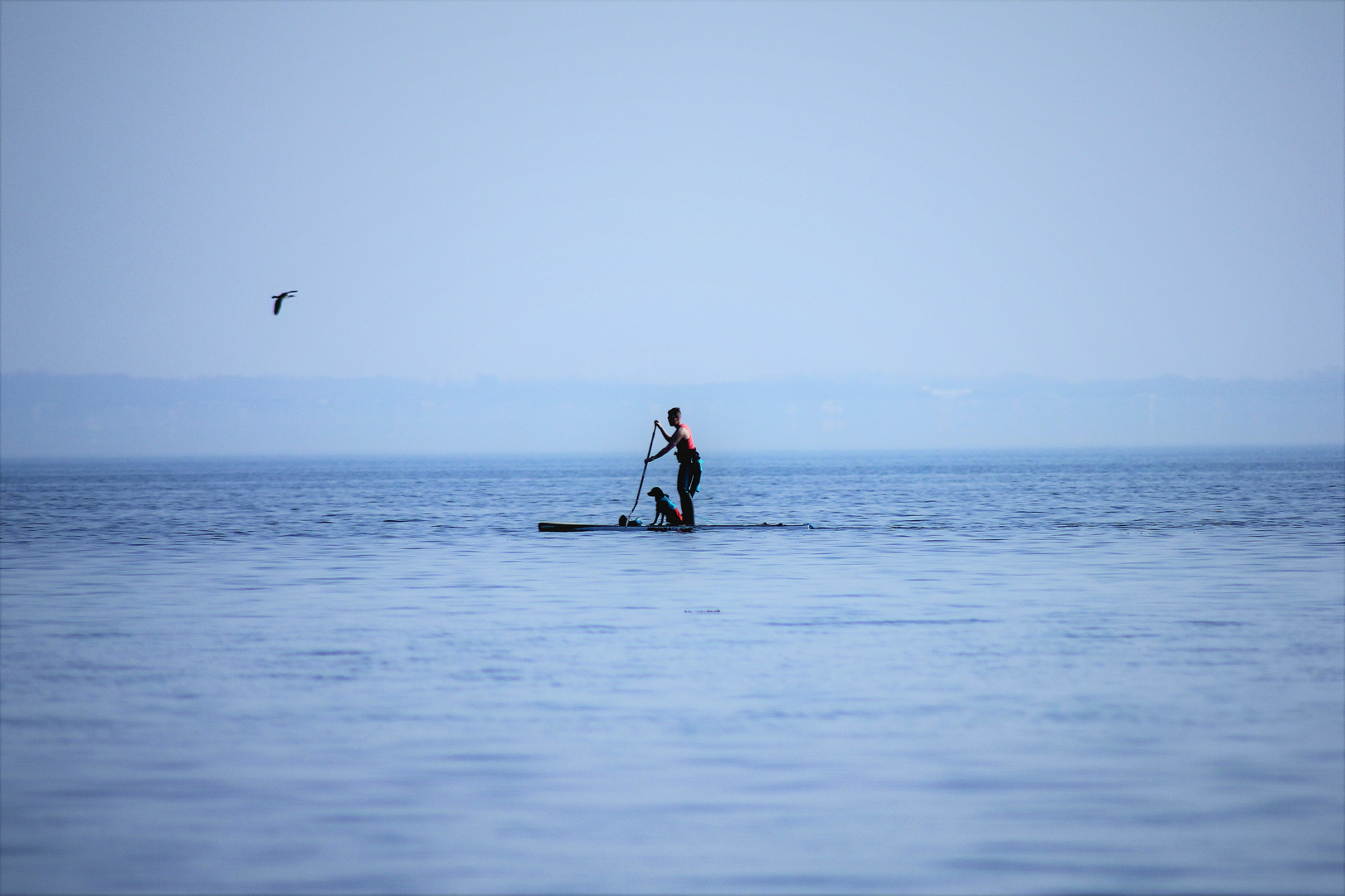 ...stand up paddle with Dog