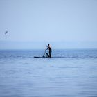 ...stand up paddle with Dog