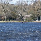 Stand-Up Paddler auf der Alster