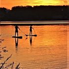 stand up paddling