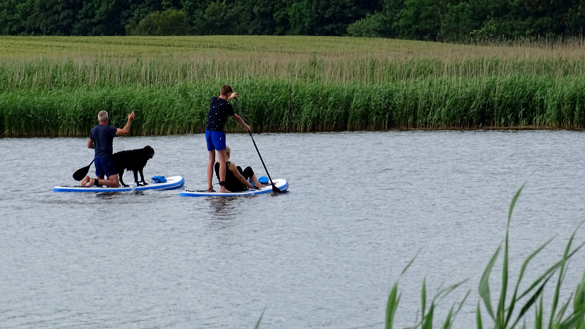 stand up paddling...