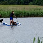 stand up paddling...