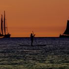 Stand Up Paddling