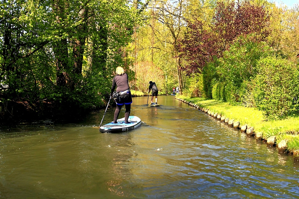 Stand up Paddling... Foto & Bild world, brandenburg, spreewald Bilder