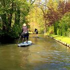 Stand up Paddling...