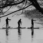 STAND UP PADDLING