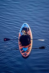 Stand-Up Paddling ...