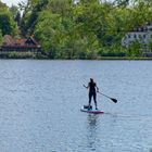 Stand Up Paddling