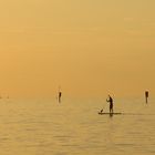 stand up paddling