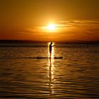 Stand Up Paddling am Bodensee