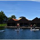 Stand Up Paddling