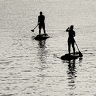 Stand-Up-Paddling