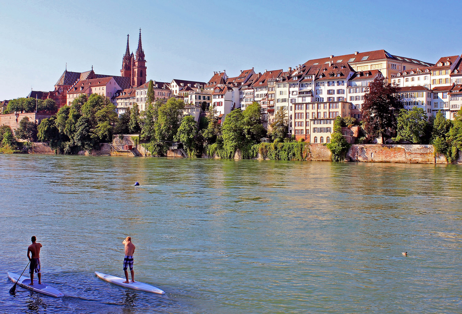 Stand up Paddling in Basel