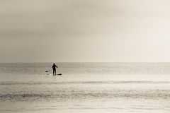 Stand up paddling in der Nordsee