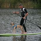 Stand up paddling mit Whippet Helvetio Nr. 2