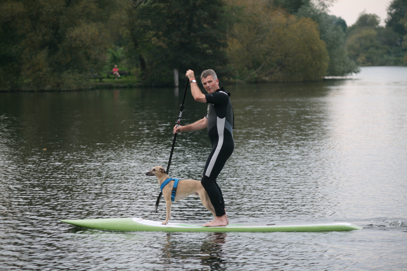 Stand up paddling mit Whippet Helvetio Nr. 3