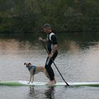 Stand up paddling mit Whippet Helvetio Nr. 4