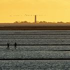 Stand up paddling vor Pellworm