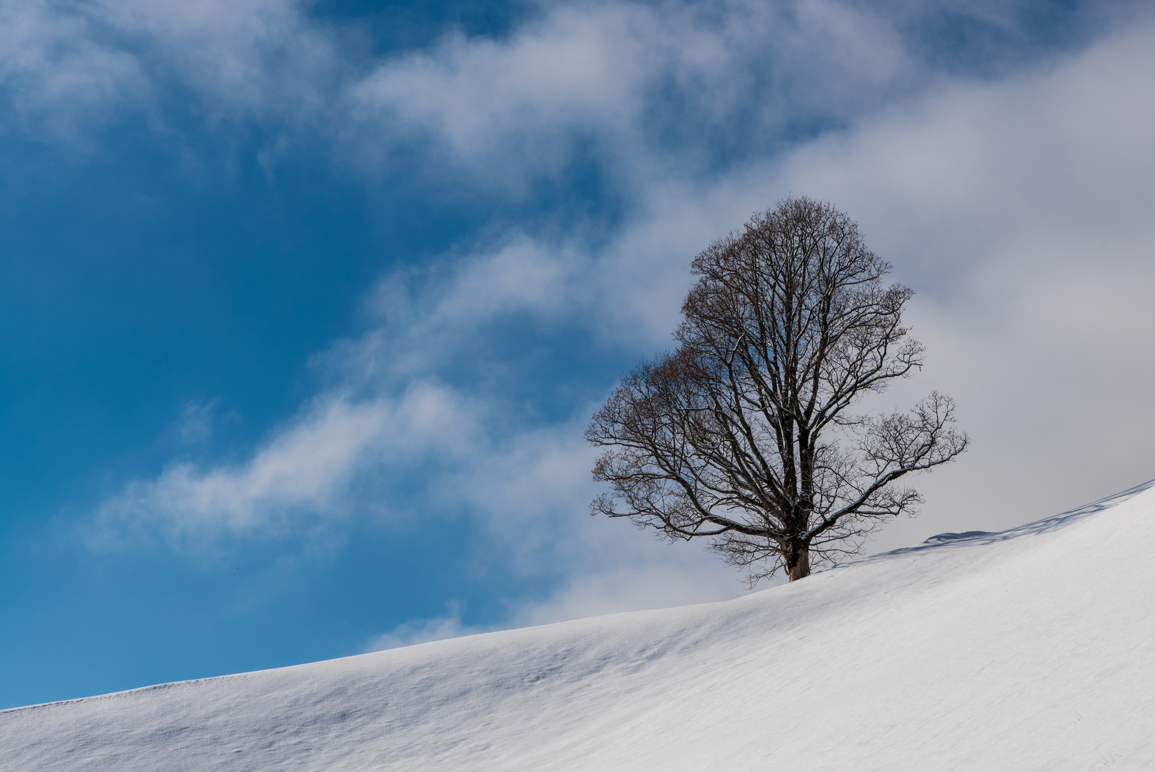 Standalone tree