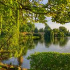 Standard-Blick am Schloss