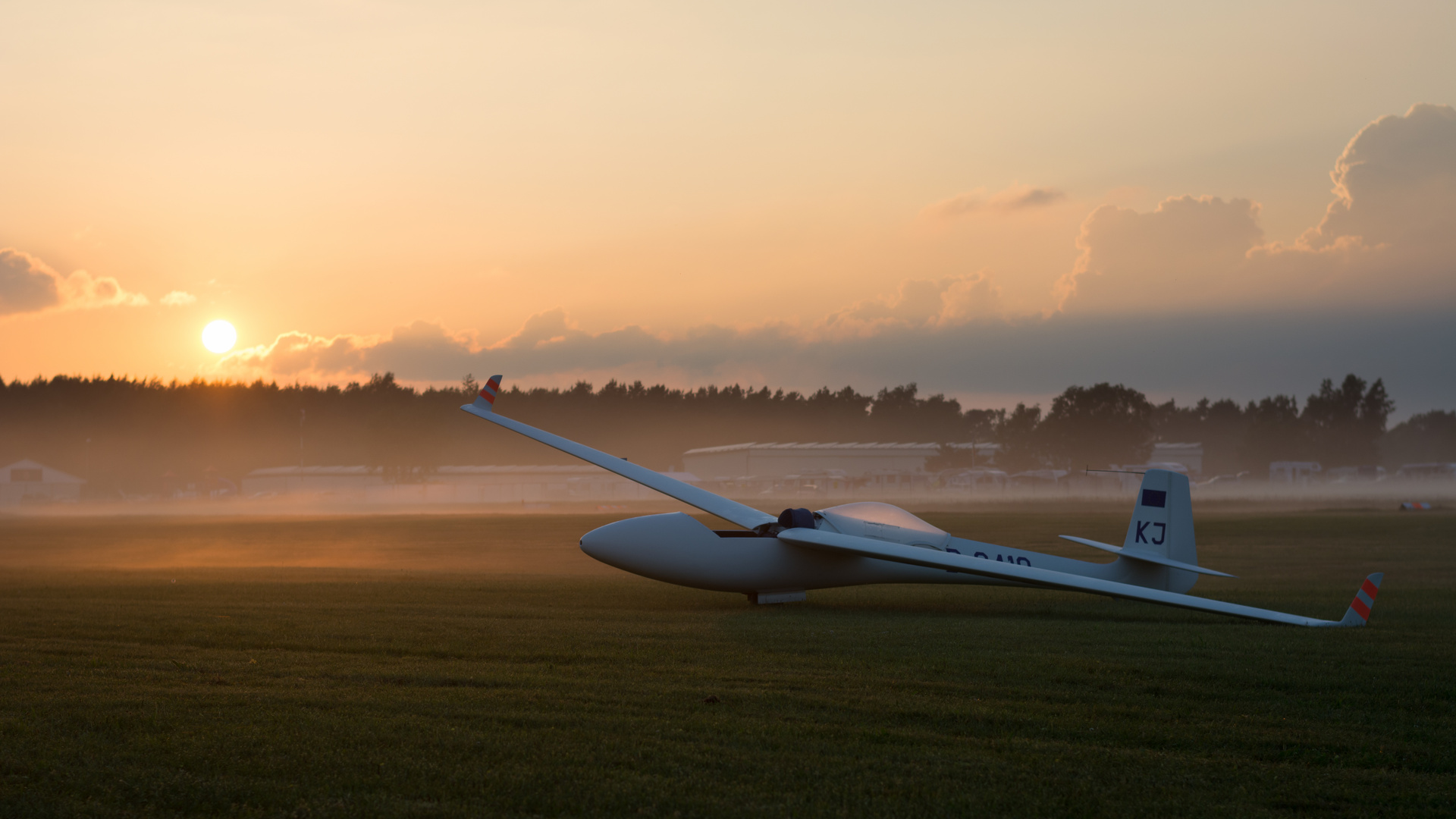 Standard Libelle am Abend