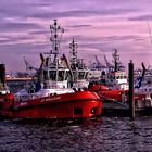 Standby - Schlepper am Schiffsanleger Hamburg Neumühlen