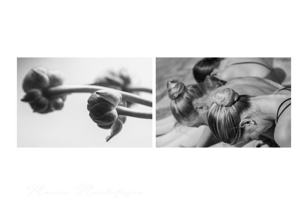 standbyme78 PORTFOLIO ARMONIE 2