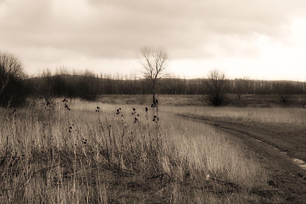 StandFB 0055 - SW - IMG_8867 - Sepia