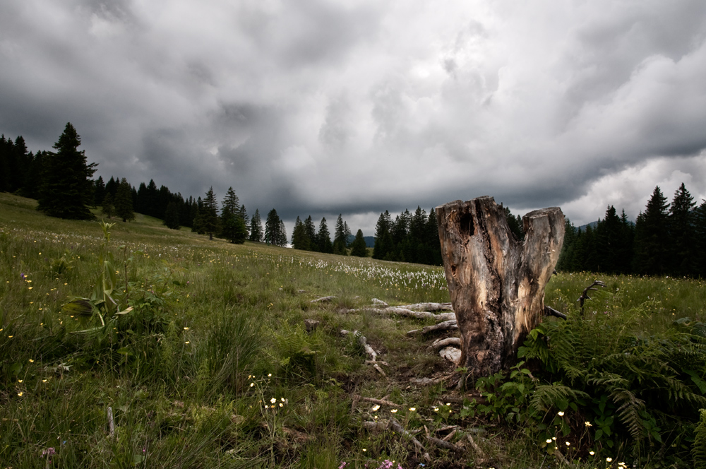 standhaft by M. Gaab