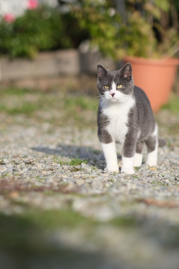 Standhaft flauschig