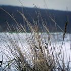 Standhaft gegen den Schnee