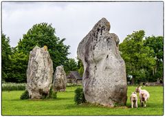 Standig Stones