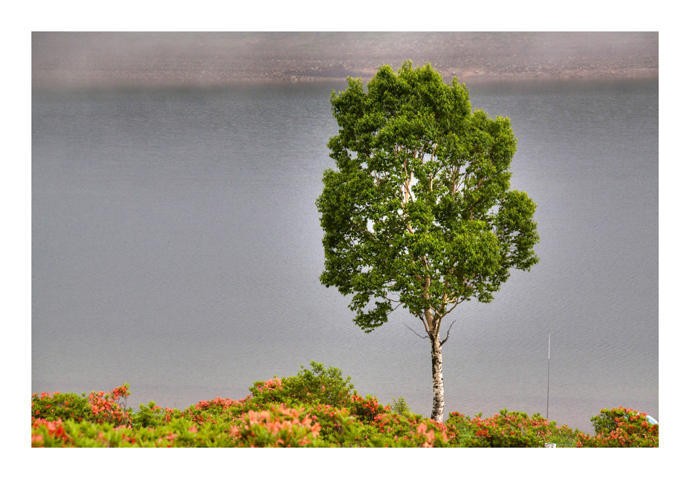 Standing at the lake side