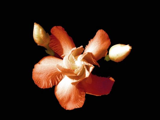 Standing Center Stage