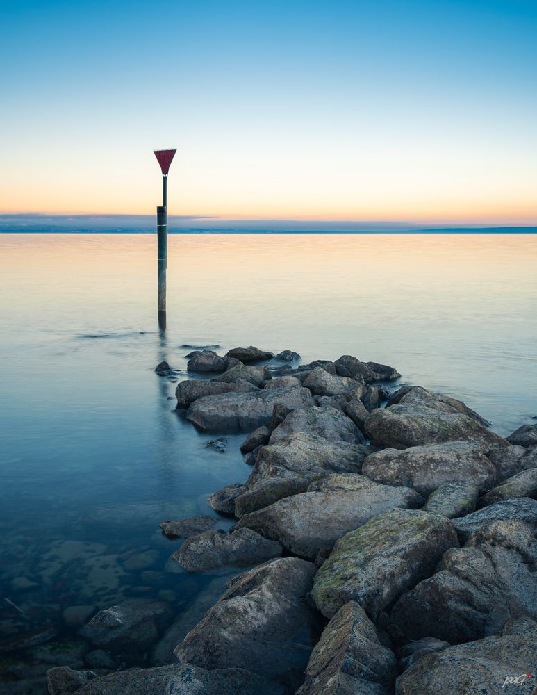 Standing His Ground Foto & Bild landschaft, jahreszeiten, winter