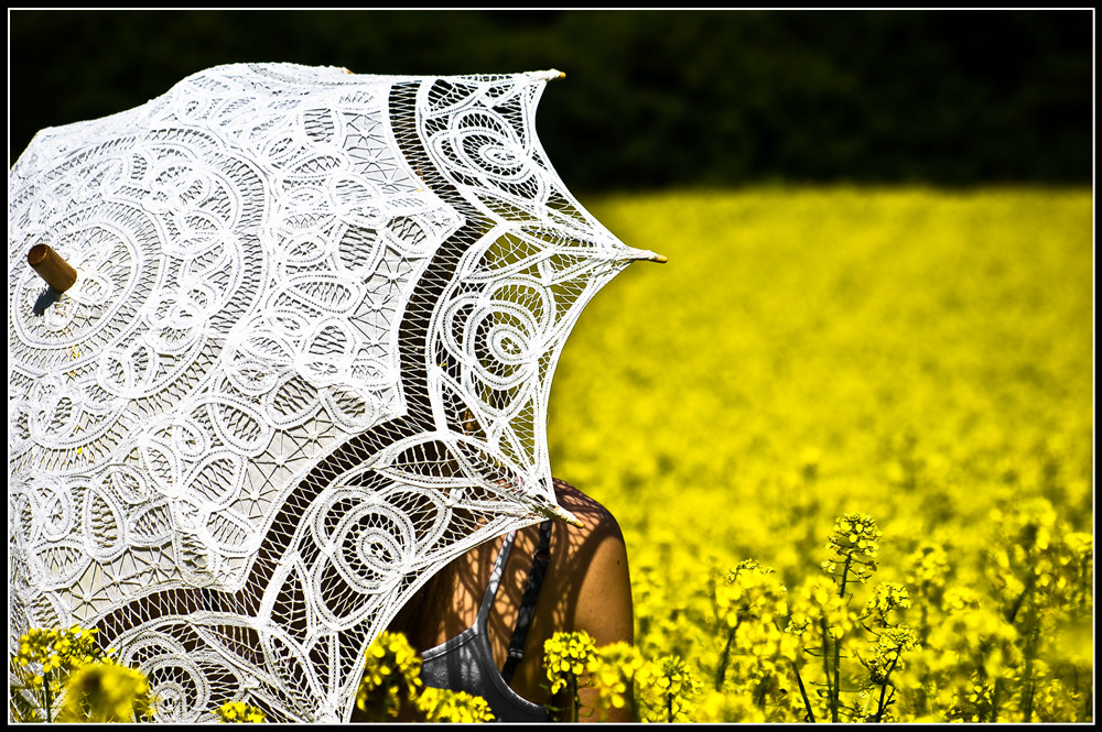 Standing in the yellow field