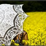 Standing in the yellow field