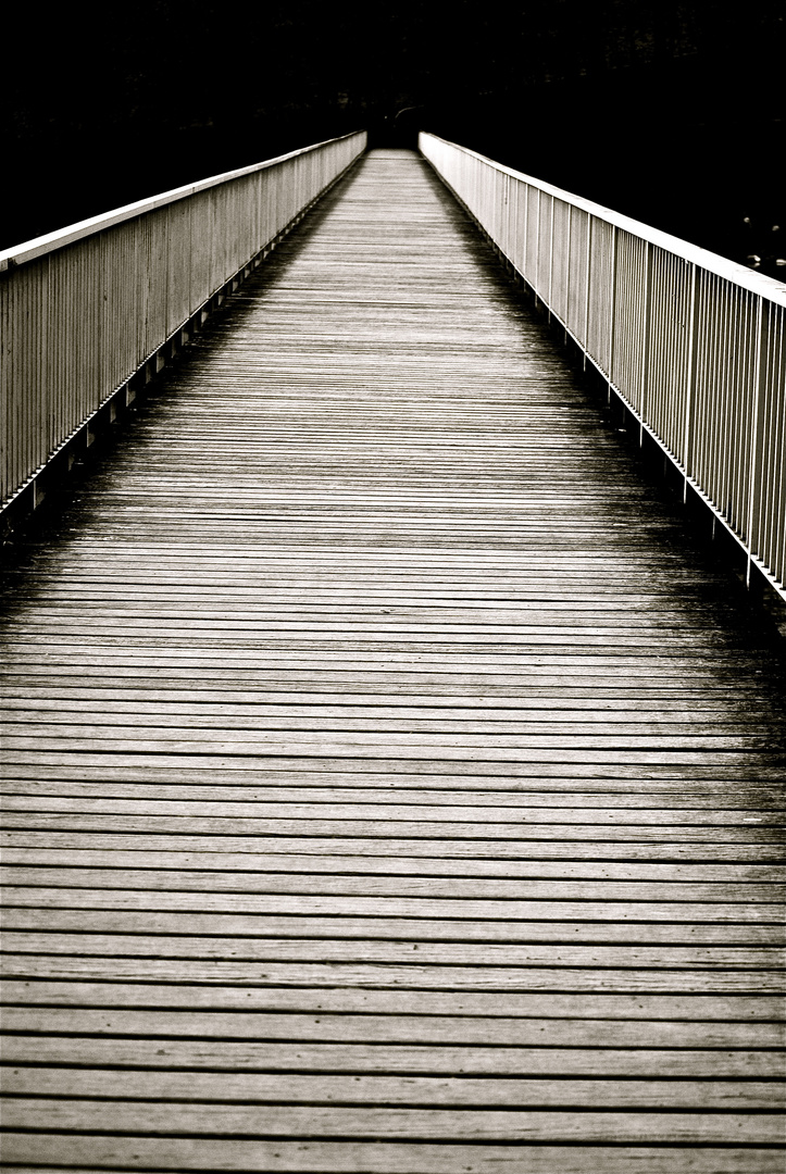 standing on the bridge