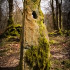 Standing Stone