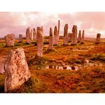 Standing Stones of Callanish