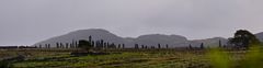 Standing stones of Callanish