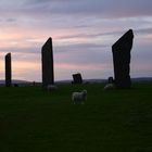 Standing Stones of Stennes