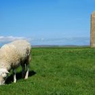 Standing Stone(s) of Stenness