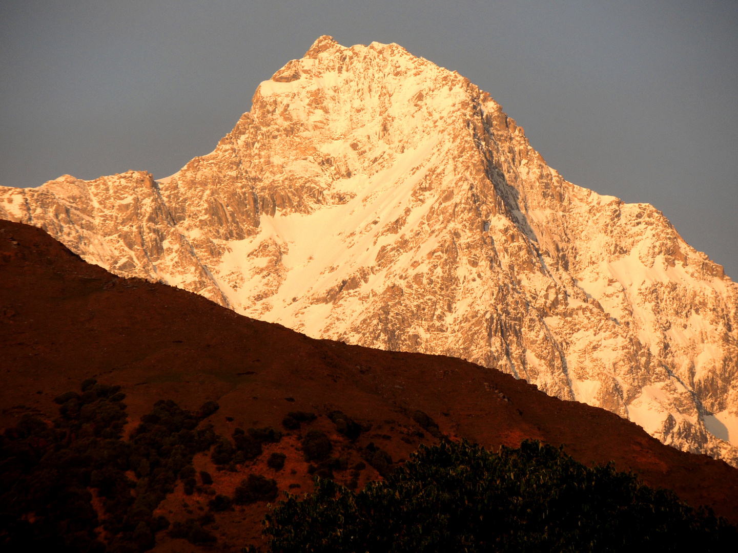 Standing tall packed with Snow..