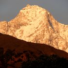 Standing tall packed with Snow..