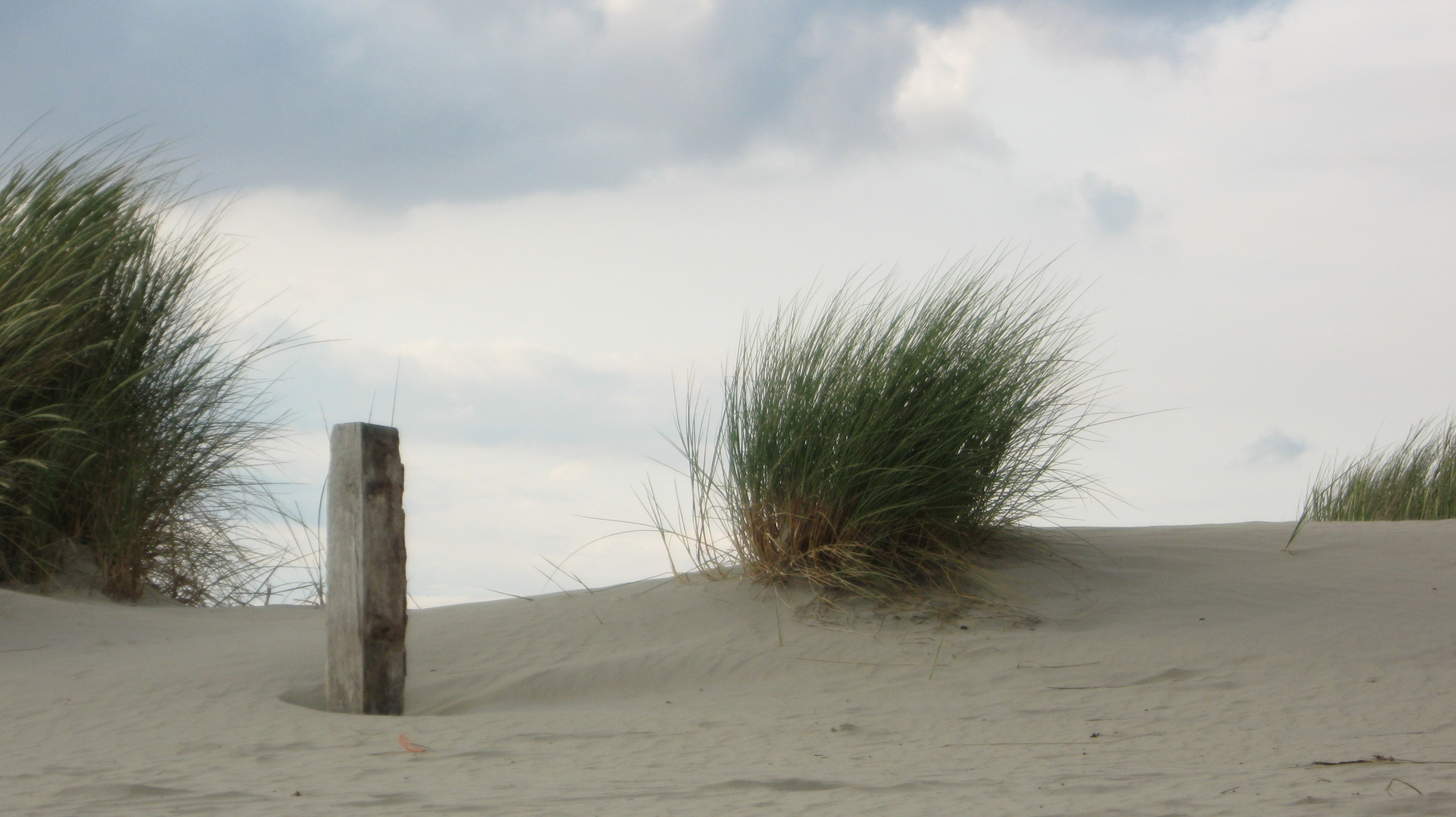 Standing the wind